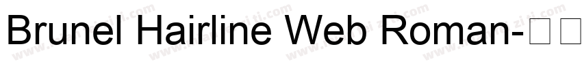 Brunel Hairline Web Roman字体转换